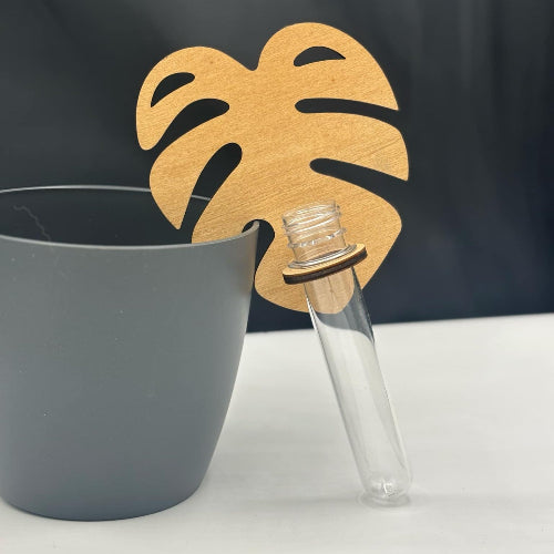 Porte-boutures muraux en bois feuille monstera - Jungle Feed