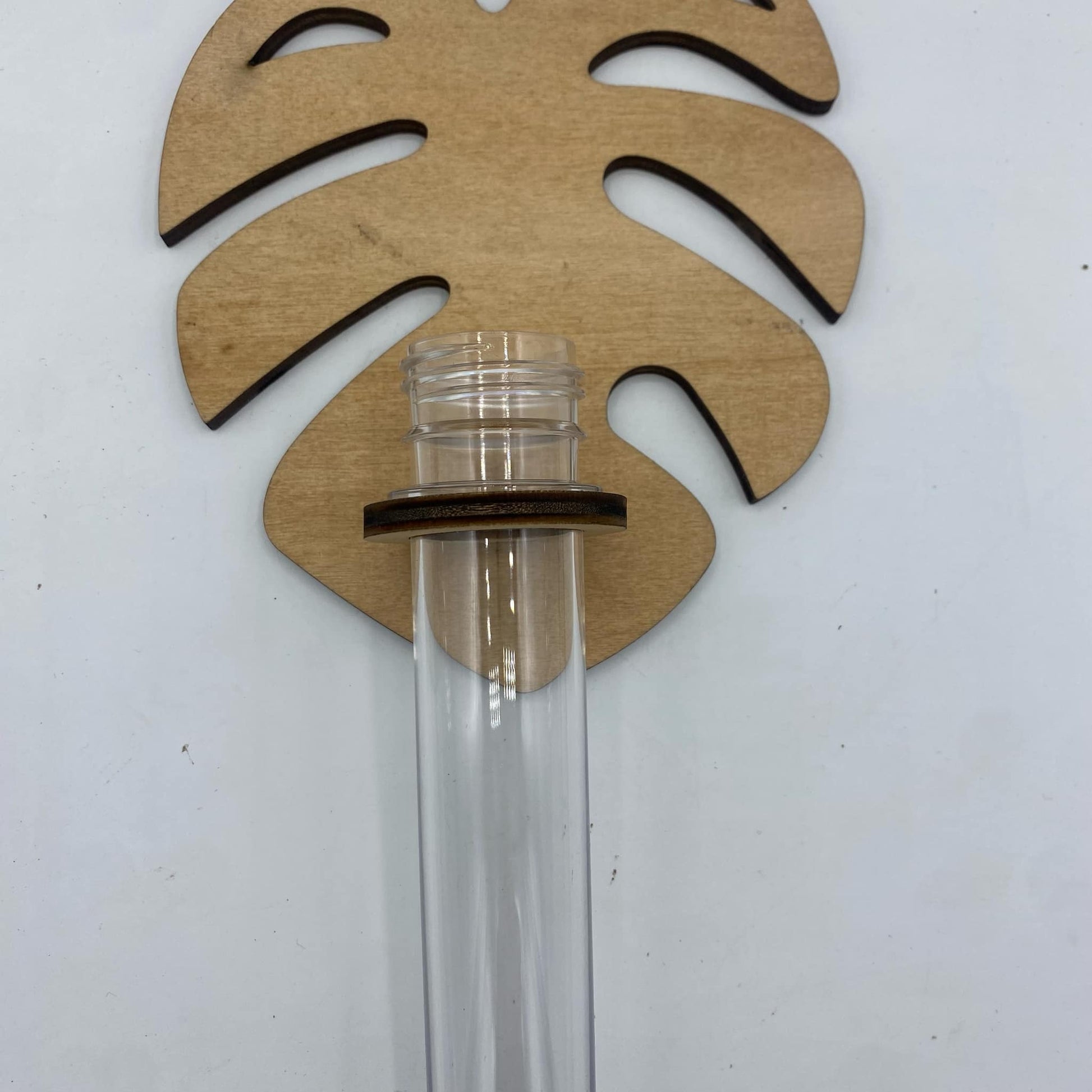 Porte-boutures muraux en bois feuille monstera - Jungle Feed
