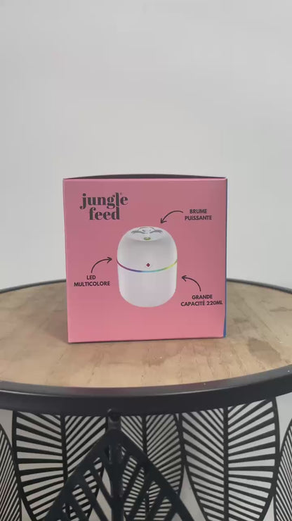 Mini Humidificateur pour Plantes d'Intérieur | Bien-être Végétal 220ml
