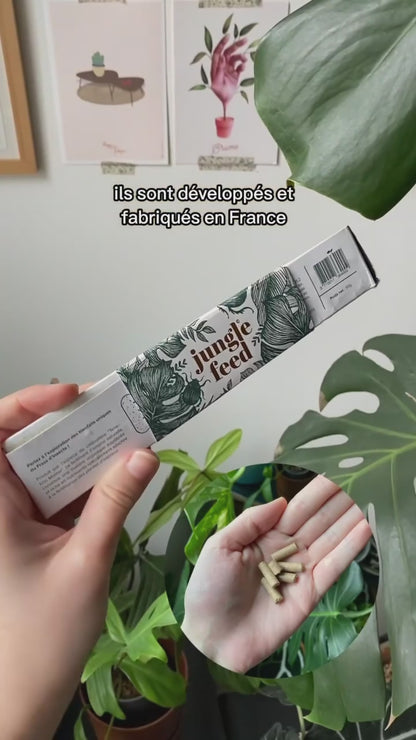 Fertilizante natural - Paquete de 4 "Jungle Sticks"