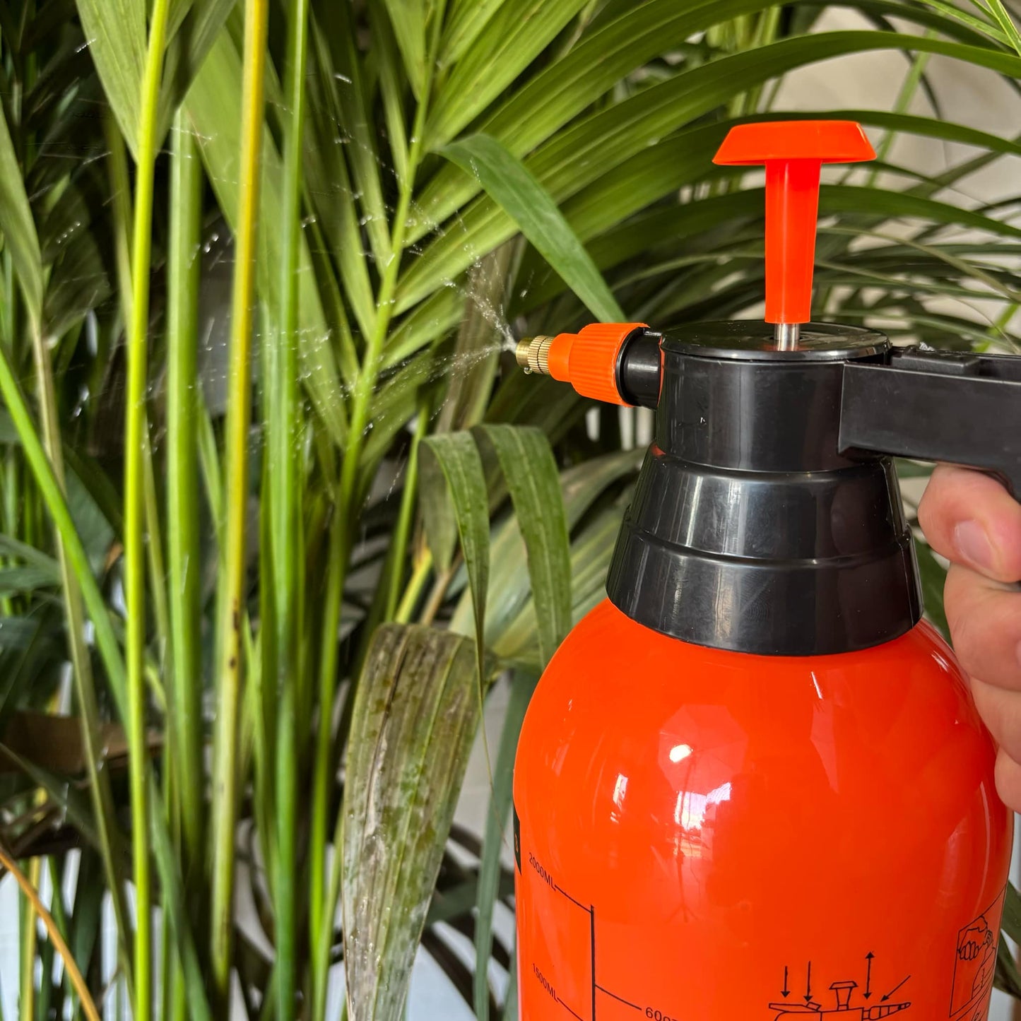 Pulvérisateur d'eau pour plantes – Capacité 2 litres, puissant et pratique pour tous vos besoins - Jungle Feed