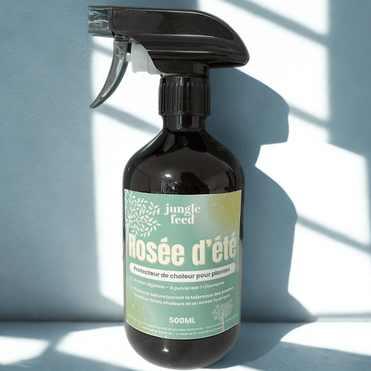 Rosée d'été - PROTECTEUR DE CHALEUR pour plantes - Jungle Feed