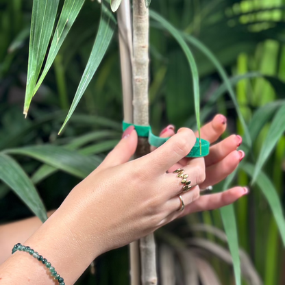 ruban accroche plante se faisant déroulé