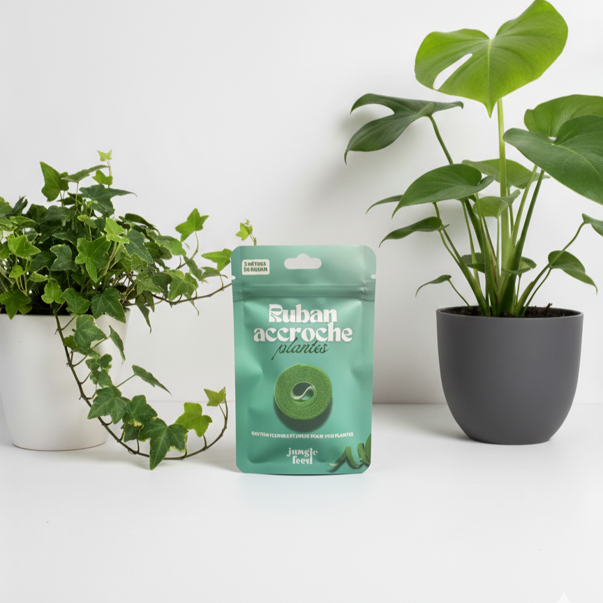 Ruban accroche plante 2m