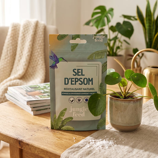 Sachet Sel d'Epsom Jungle Feed posé sur une table en bois à côté d'une plante verte en pot – ambiance intérieure naturelle
