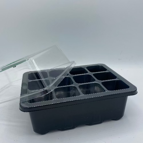 mini serre de germination ouverte pour faire pousser des semis