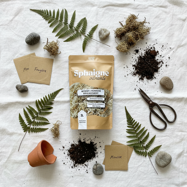 Sphaigne vivante 3L Jungle Feed - packshot studio style scandinave minimaliste