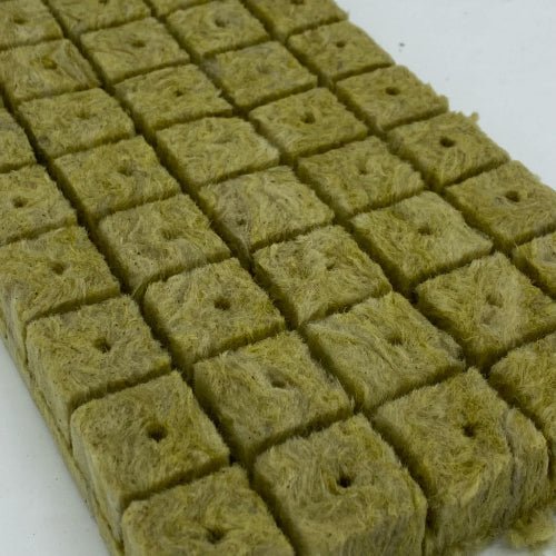 Substrat de culture en laine de roche pour semis et boutures - Jungle Feed