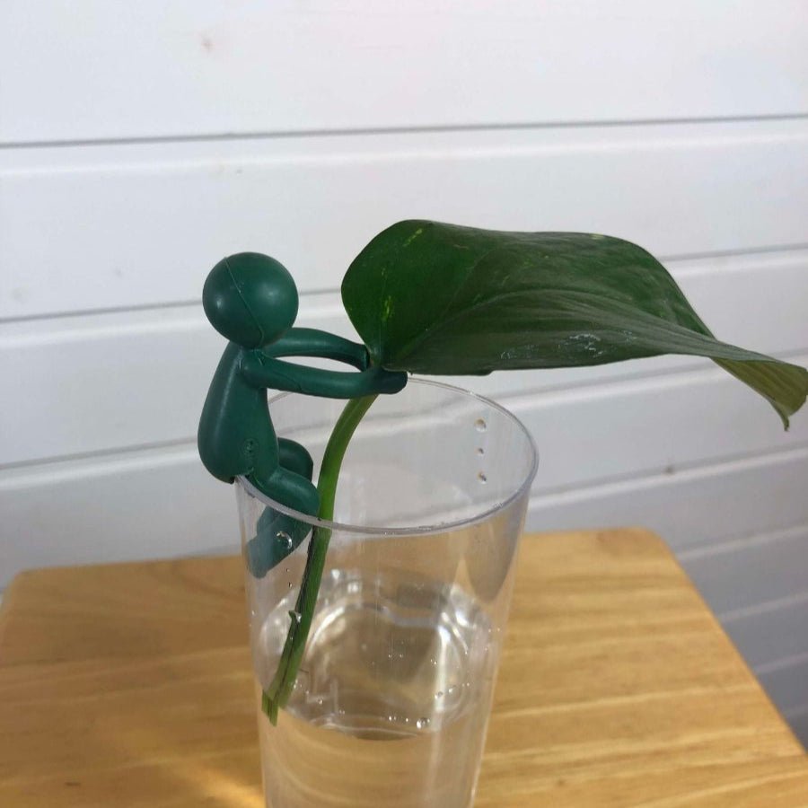 Support bouture pour plantes en forme de petit personnage - Jungle Feed