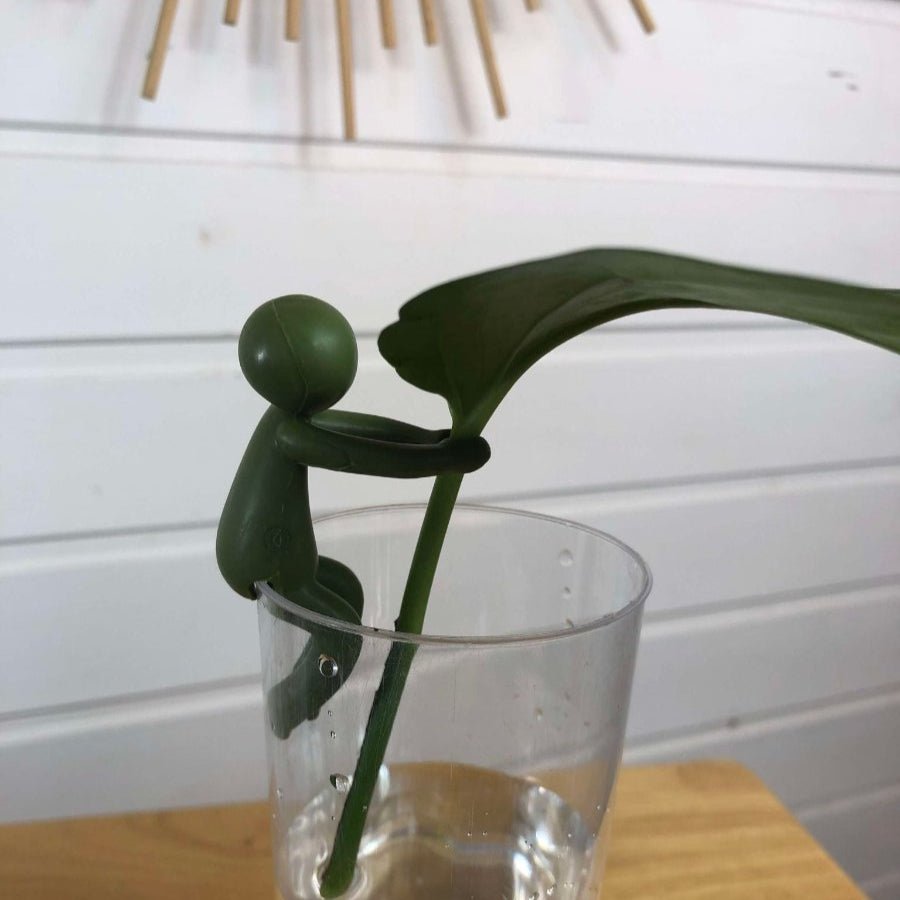 Support bouture pour plantes en forme de petit personnage - Jungle Feed