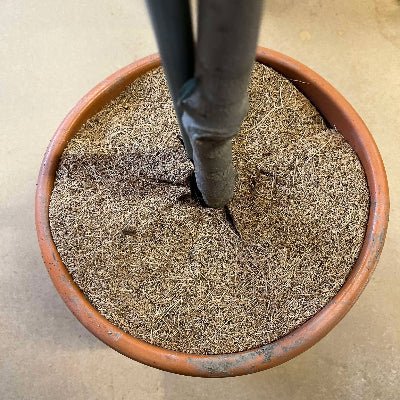 Tapis de coco pour plante protection du froid et du gel - Jungle Feed