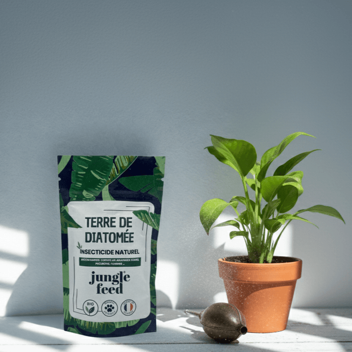 Terre de diatomée 50 g