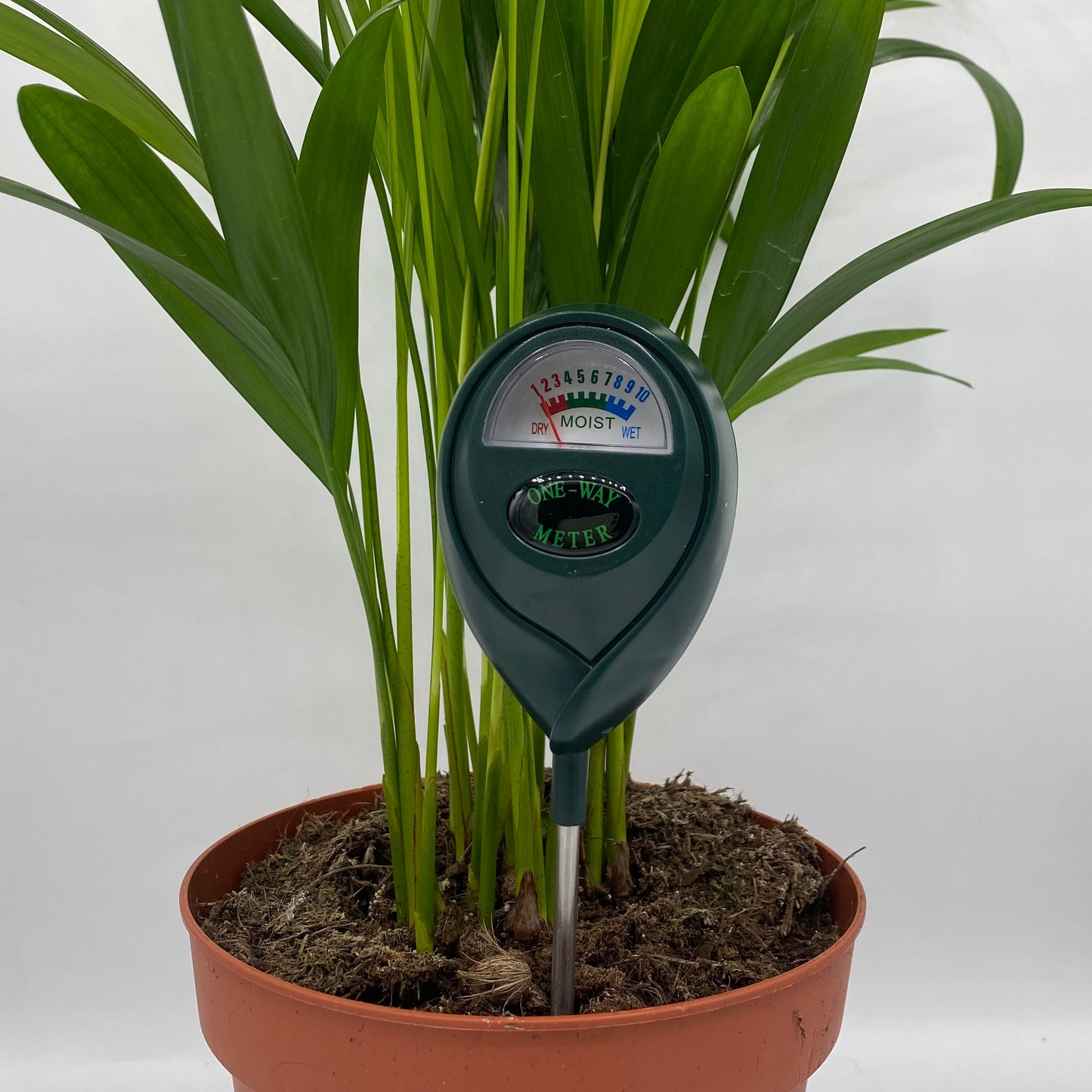 Sonde d'humidité noire avec sa longue tige métallique sur un fond blanc uni. L'outil est positionné de côté, mettant en évidence son cadran.