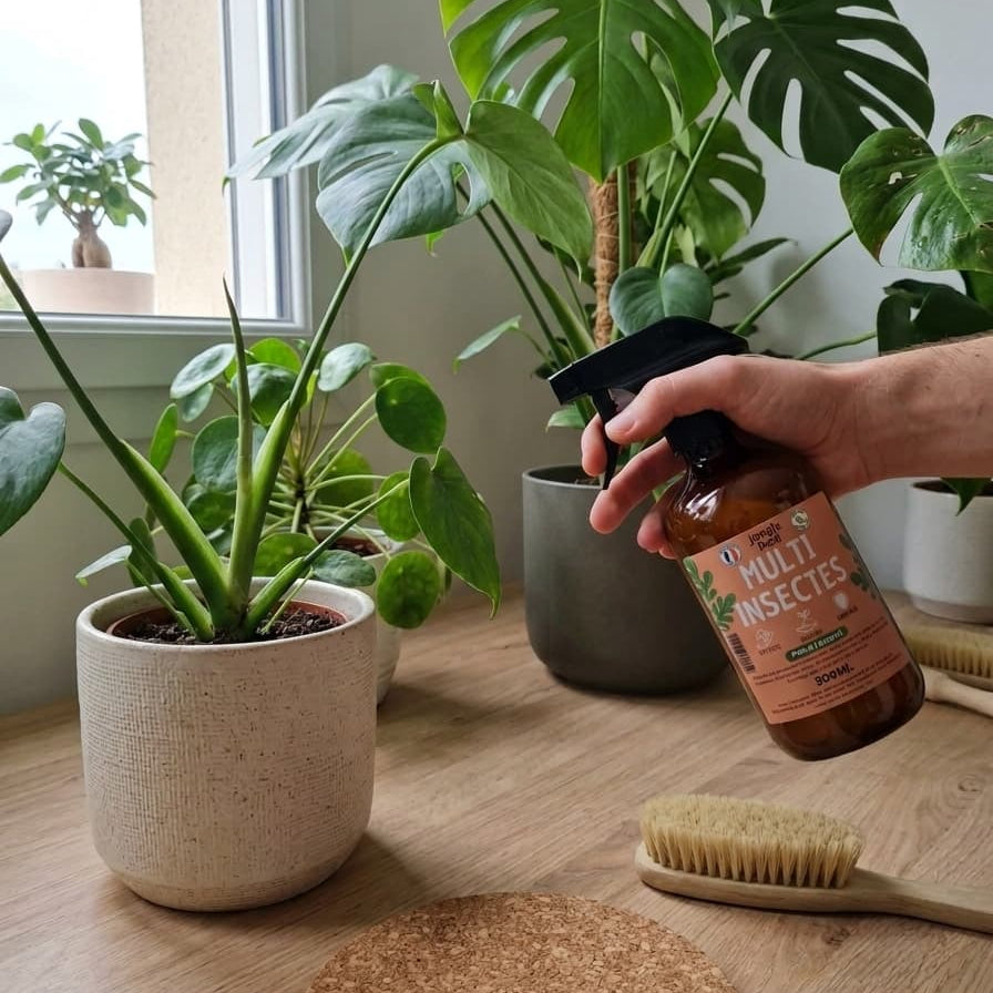 Une main vaporisant le produit Jungle Feed Multi Insectes sur un Pilea et une Monstera dans un intérieur lumineux.