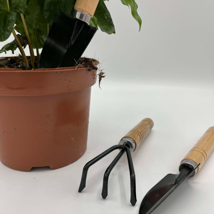 Trio d'Outils de Jardinage en Bois 17cm - Mini Outils pour Plantes | Jungle Feed - Jungle Feed