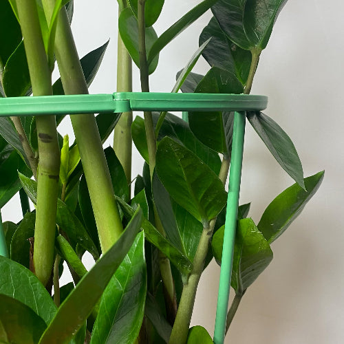 zoom sur le tuteur modulable