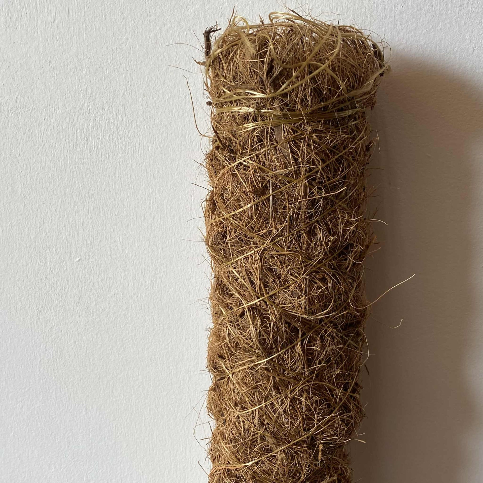 Tuteur XXL en fibre de coco pour plantes d'intérieur - Jungle Feed