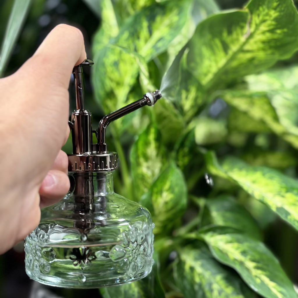 vaporisateur verre en train de vaporiser les plantes