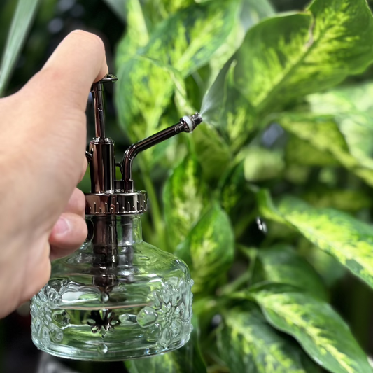 vaporisateur verre en train de vaporiser les plantes